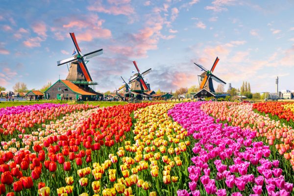 emea netherlands The Netherlands